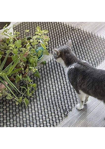Çivili Kedi Scat Matı, Kediler Köpekler Için Insancıl Evcil Hayvan Caydırıcı Mat, Kediler Karşıtı Ağ Kazma Engelleyici, Karışıklık Şeridi, Bitki Koruyucu Ağ, Dış Mekan Bahçe Çiftliği Için fiyatları