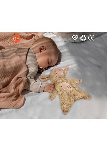 My Sleeping Friend Lamb - Uyku Arkadaşım Kuzucuk fırsatları