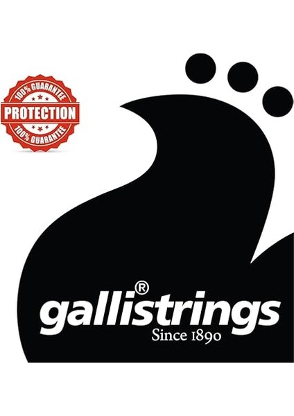 Strings RA1152 Light Special Akustik Gitar Teli, Akustik Gitar Tel modelleri