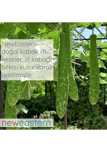 Doğal Kabak Lifi (Kese, 1) fırsatları