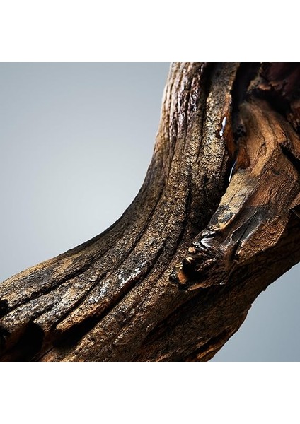 Boss Bottled Erkek Deo Stick 75 ml modelleri