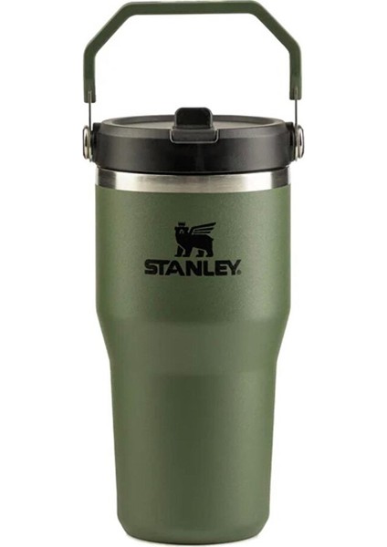 The Iceflow Açılır Pipetli Termos Matara 600ML Dried Pine 1 Adet