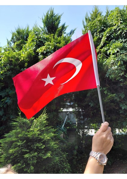 30 Adet 20x30 Sopalı Türk Bayrağı 120 G/m² | raşel , dijital Baskı, sopalı kumaş türk bayrağı