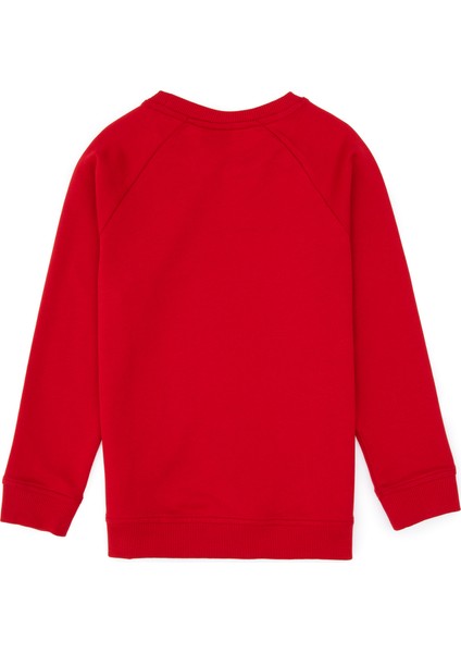 Erkek Çocuk Kırmızı Sweatshirt 50313832-VR171 fiyatları