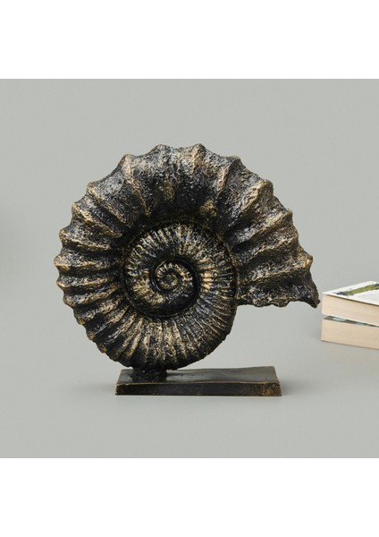 Deco Deniz Kabuğu Dekor - Gold / Siyah - 30 cm fiyatları