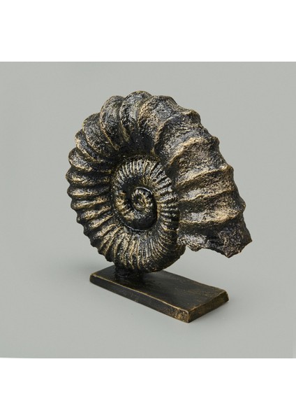 Deco Deniz Kabuğu Dekor - Gold / Siyah - 30 cm modelleri