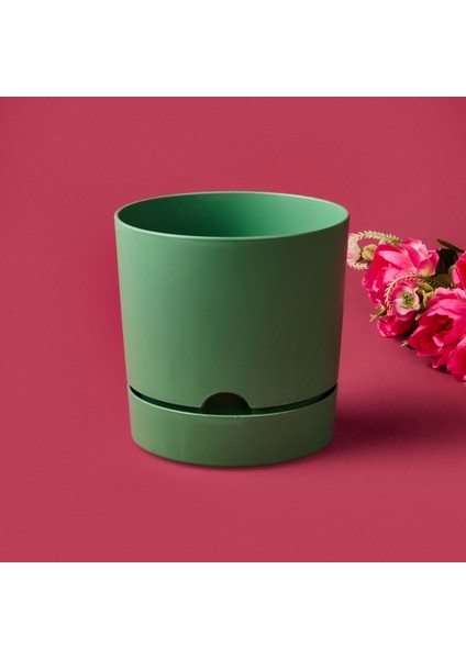 Begonya Saksı - Yeşil - 1,8 Lt fiyatları