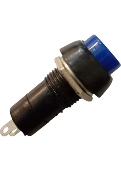 Plastik Mavi Yuvarlak Yaylı Buton Anahtar 12MM