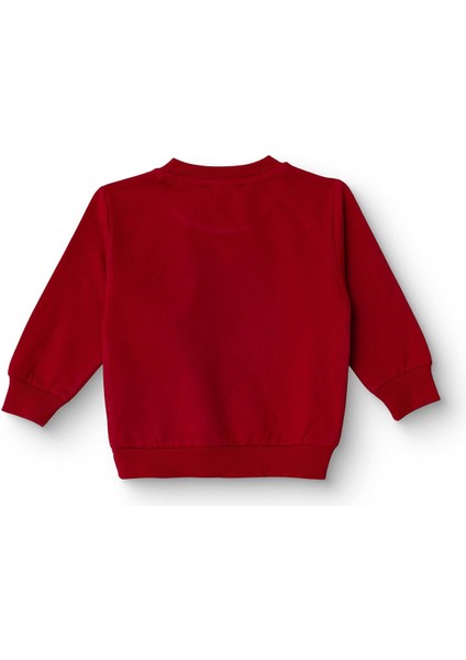 Erkek Bebek Sweatshirt Şardonlu Iki Iplik Bisiklet Yaka Uzun Kol fiyatları