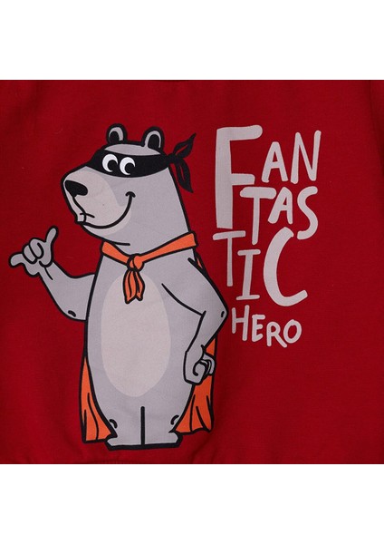 Erkek Bebek Sweatshirt Şardonlu Iki Iplik Bisiklet Yaka Uzun Kol modelleri