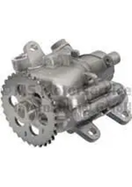 703040070 Yag Pompasi 1717570 1738483 1839456