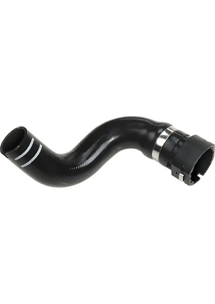 R11374 Radyator Hortumu Alt 46798912