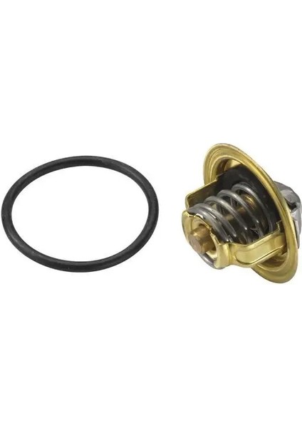 347287D Termostat 03G121113