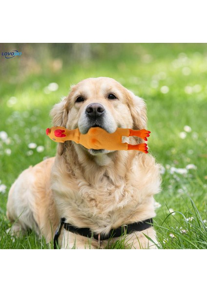 Cırlak Köpek Oyuncakları Çocuklar Için Arka Bahçe Oyunları Yetişkinler Açık Hava Oyunları Lastik Tavuk (Yurt Dışından) fırsatları