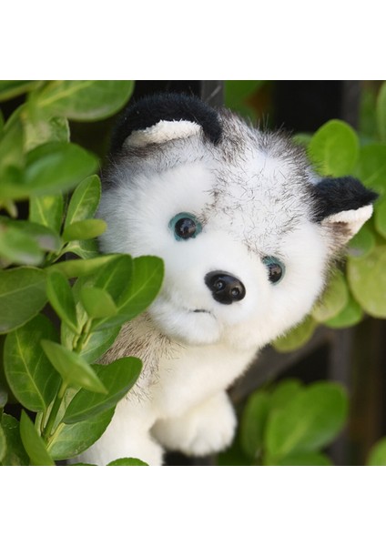 Fang Fang Gerçekçi Husky Köpek Doldurulmuş Oyuncaklar Peluş Hayvanlar Çocuk Oyuncakları Çocuk Yumuşak Kawaii Kurt Evcil Hayvan Bebek Sevimli Çocuk Oyuncakları Kız Erkek Için (Yurt Dışından) fırsatları