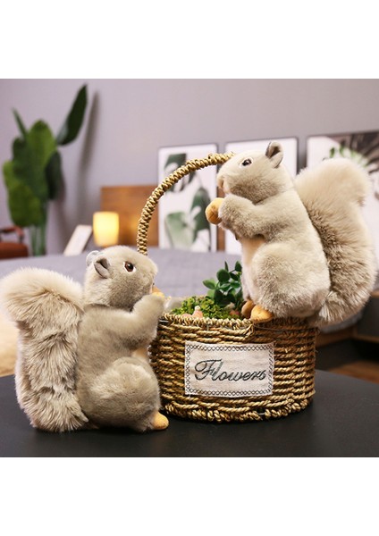 Sincap Peluş Bebek Anti-Bölünmüş Kabarık Ev Dekoratif Gri Sincap Peluş Masaüstü Için Nutsie ile (Yurt Dışından) fırsatları