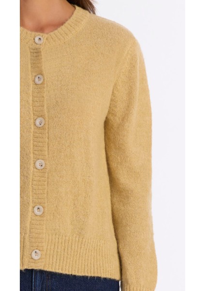 Regular Bisiklet Yaka Uzun Kol Hırka