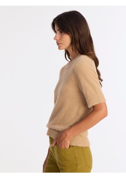 Regular Dik Yaka Kısa Kol Kazak