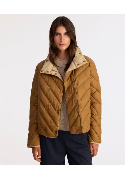 Regular Dik Yaka Uzun Kol Mont