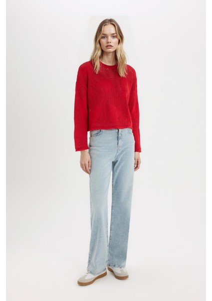 Basic Düz Bisiklet Yaka Triko Kırmızı Kazak E4682AX25SP fiyatları