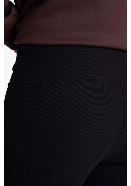 Fit Flare Fit Toparlayıcı Yüksek Bel İspanyol Paça Standart Boy Ribana Sporcu Pantolon F5040AX25WN