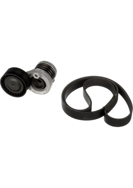 K076PK1130 Kayis Seti 117209030R 117209699R A6079930396