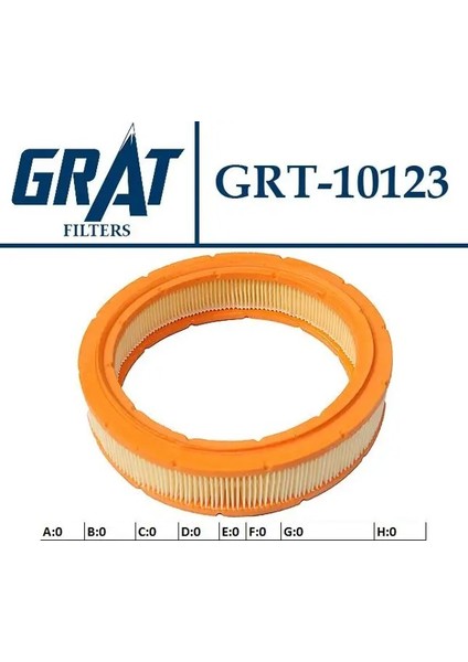 10123 Hava Filtresi 7721380