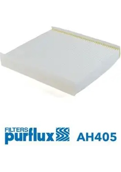 AH405 Polen Filtresi 27274A000P 272770567R 272773016R