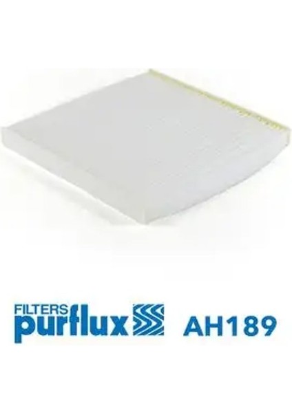 AH189 Polen Filtresi 72880AG0009P 8713912010 87139YZZ07