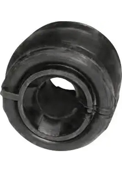 R51095 Viraj Lastigi On 509466