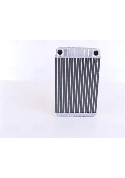 72028 Kalorifer Petegi A2038300161