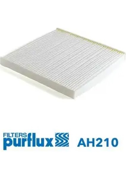 AH210 Polen Filtresi 72880AG000 72880XA000 72880XA000A9