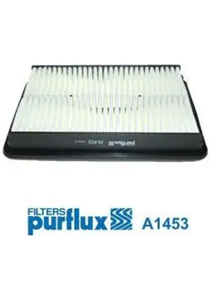 A1453 Hava Filtresi 281132P300
