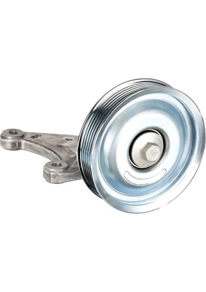 T36427 Alternator Gergi Bilyasi 96749609 9674960980