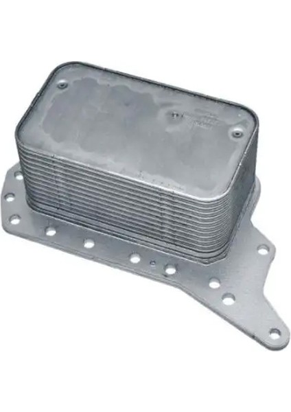 63158 Motor Yag Sogutucusu 4423048