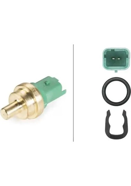 6PT009309391 Hararet Musiri 1204700 1231943 1338C1