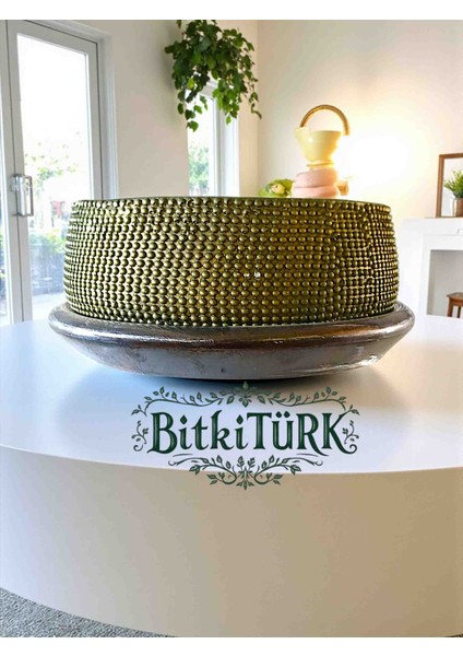 Beton Saksı ve Altlığı 12×21CM Bonsai&çiçek Saksısı modelleri