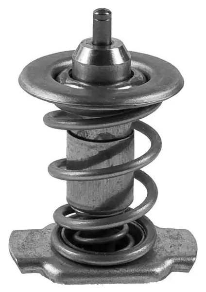 TH37585 Termostat 210821306010 210901306010 21091306010