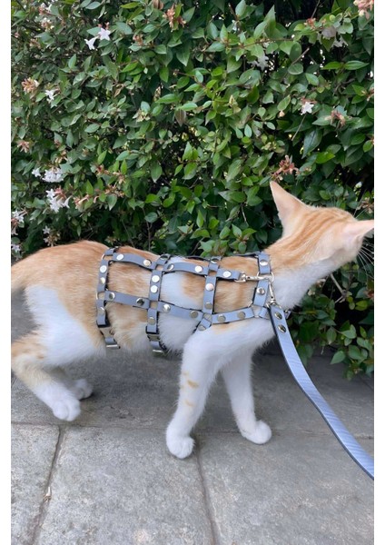Karanlıkta Parlayan Reflektörlü Şık Kedi Harness, Kedi Yürüme Tasması, Kedi Güvenlik Tasması - NPC011
