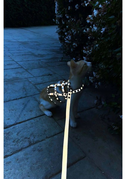 Karanlıkta Parlayan Reflektörlü Şık Kedi Harness, Kedi Yürüme Tasması, Kedi Güvenlik Tasması - NPC011 fiyatları