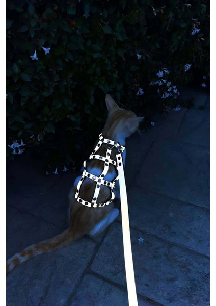 Karanlıkta Parlayan Reflektörlü Şık Kedi Harness, Kedi Yürüme Tasması, Kedi Güvenlik Tasması - NPC011 indirimleri