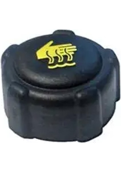 94669 Yedek Su Depo Kapagi 8200048024