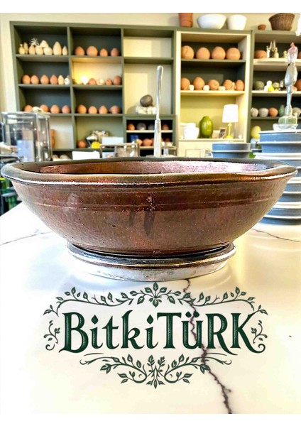 Büyük Boy Beton Saksı 41×15 cm Bonsai Iç Mekan Bitkileri