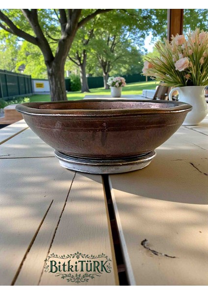 Büyük Boy Beton Saksı 41×15 cm Bonsai Iç Mekan Bitkileri modelleri