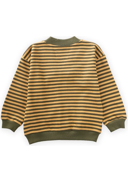 Çizgili Triko Hırka 0-4 Yaş Hardal Haki fiyatları