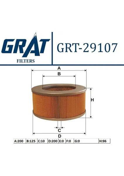 29107 Hava Filtresi RF0113Z409A