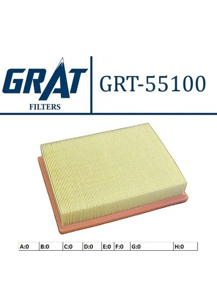 55100 Hava Filtresi 2319021000