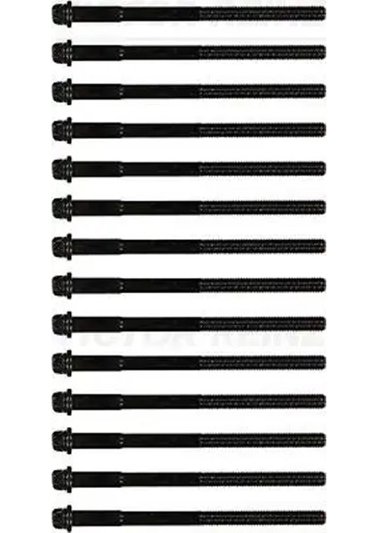 143200101 Silindir Kapak Civatasi 11121726478