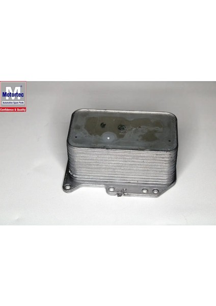 RNT0667 Motor Yag Sogutucusu 8201005241