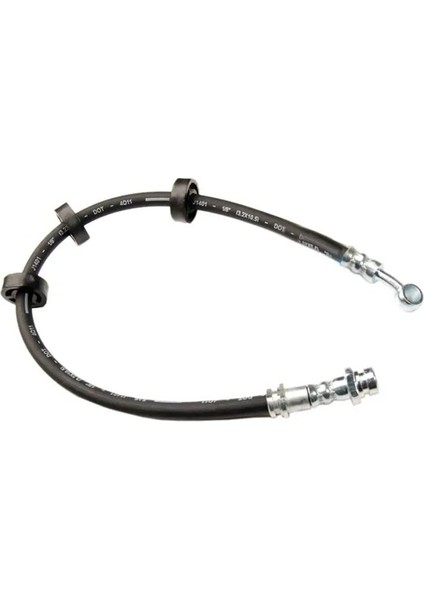 51865 Fren Hortumu On